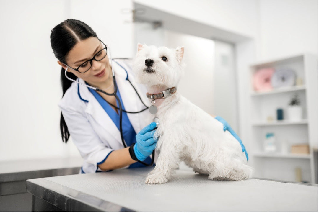 Latex Gloves and Nitrile Gloves: Choosing the Right Gloves for Different Healthcare Settings