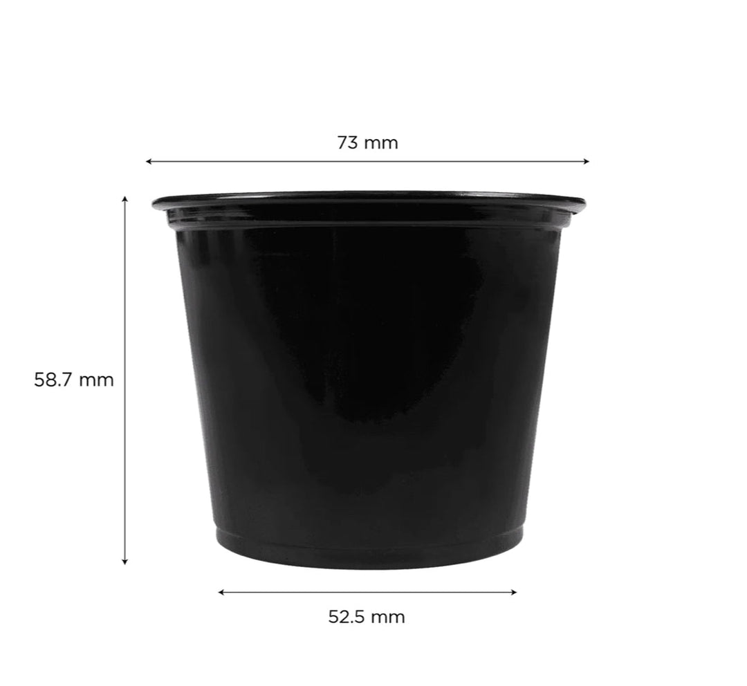 Tazas de porciones de 5.5 oz, plástico PP, negro - 2.500 pcs